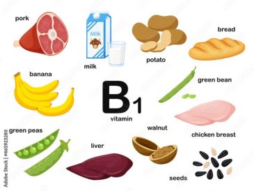 Gesunde ernährung thema b1